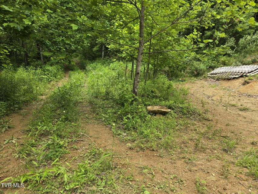 Photo #12: 719 Simerly Creek