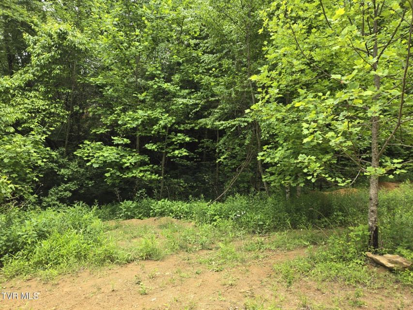 Photo #13: 719 Simerly Creek
