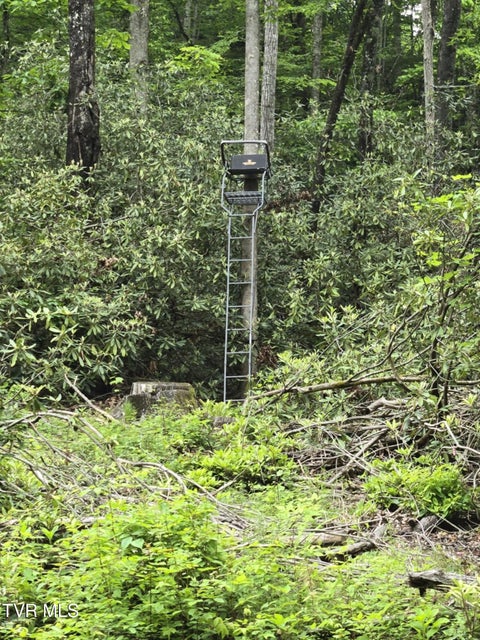 Photo #14: 719 Simerly Creek