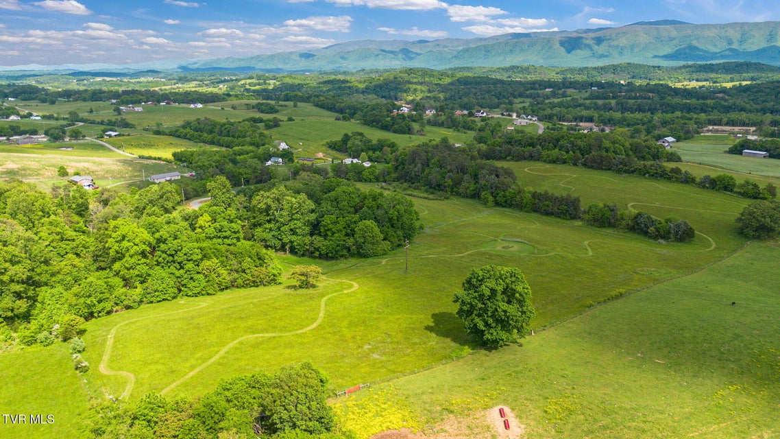 Photo #94: 2150 Sunnyside Road