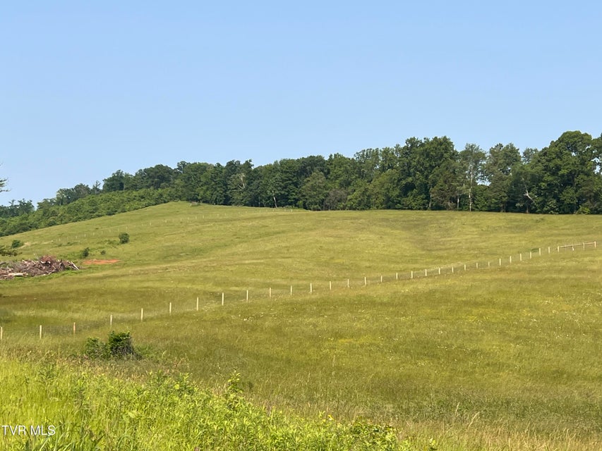 Photo #3: 00 Jackson Road