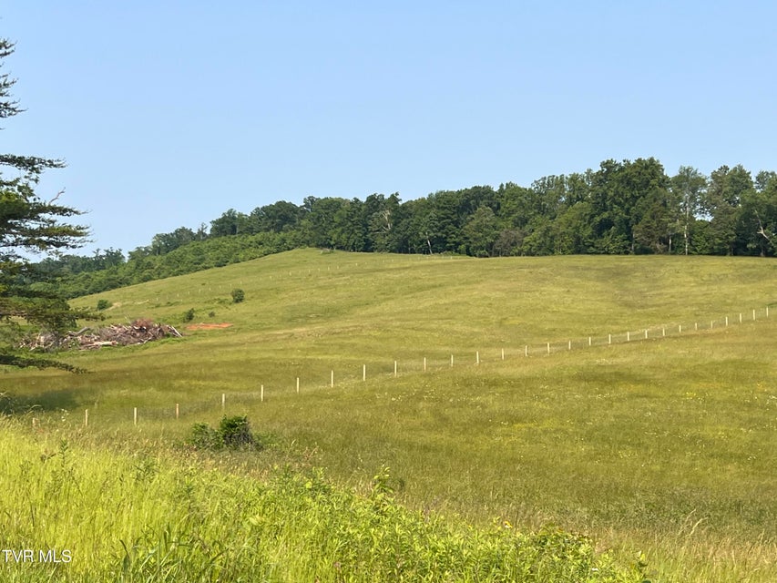 Photo #4: 00 Jackson Road