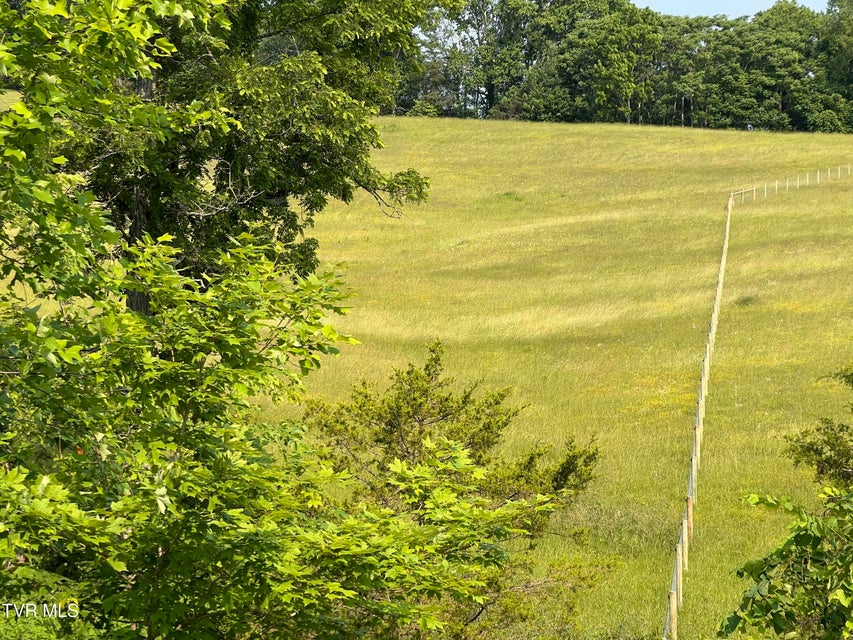 Photo #10: 00 Jackson Road