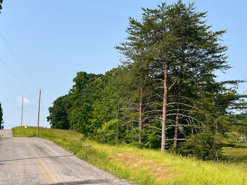 Photo #9: 00 Jackson Road
