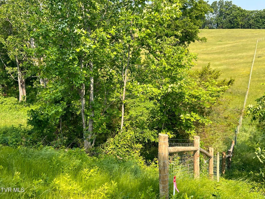 Photo #5: 00 Jackson Road