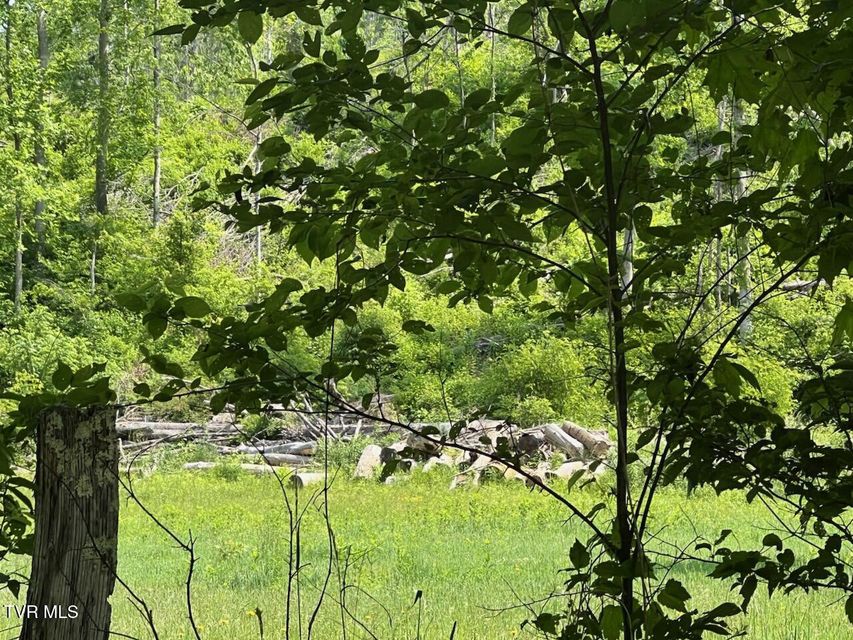 Photo #15: 00 Antioch Road