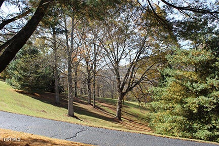 Photo #100: 235 Fisher Road