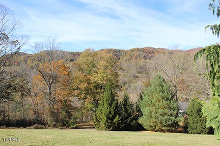 Photo #66: 235 Fisher Road