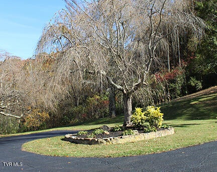 Photo #68: 235 Fisher Road