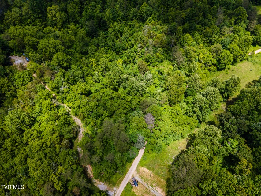 Photo #2: Tbd Mountain Loop Road
