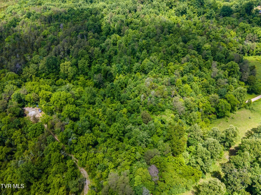 Photo #3: Tbd Mountain Loop Road