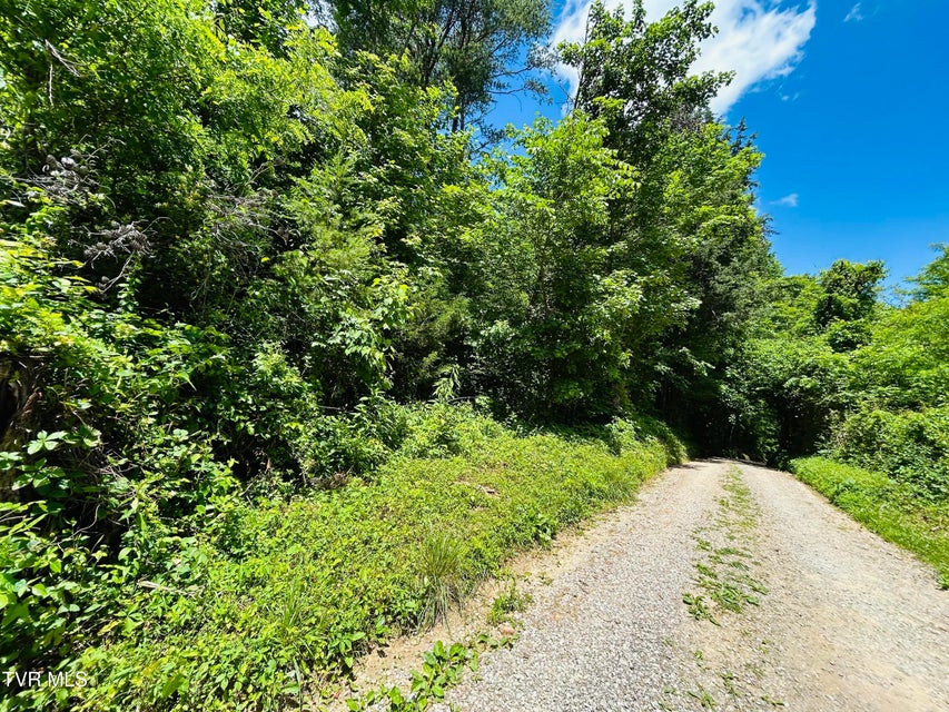 Photo #9: Tbd Mountain Loop Road
