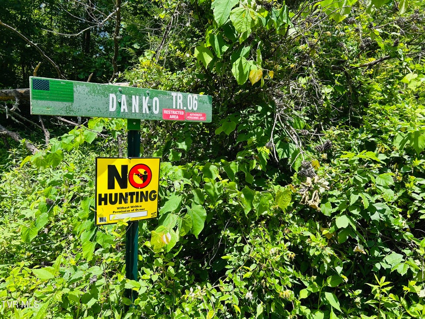 Photo #11: Tbd Mountain Loop Road