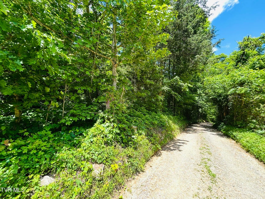 Photo #13: Tbd Mountain Loop Road
