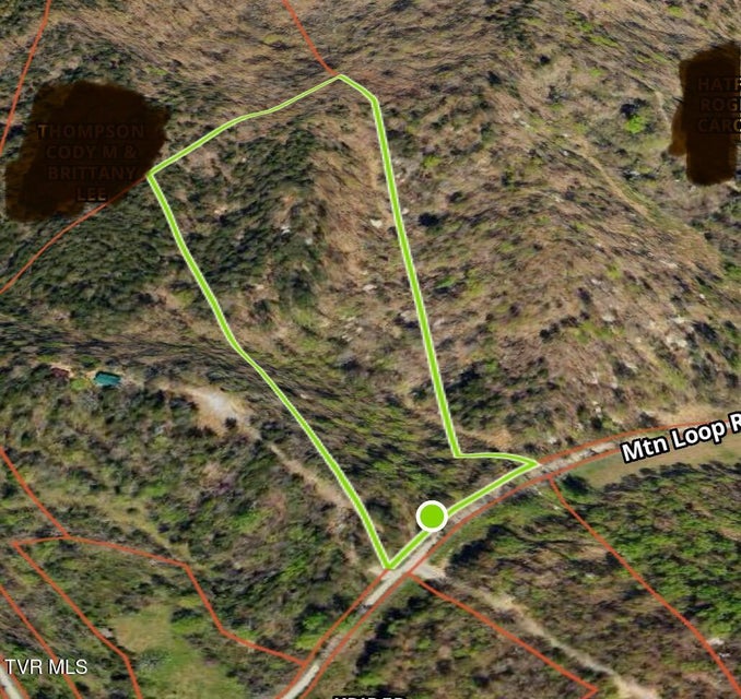 Photo #6: Tbd Mountain Loop Road