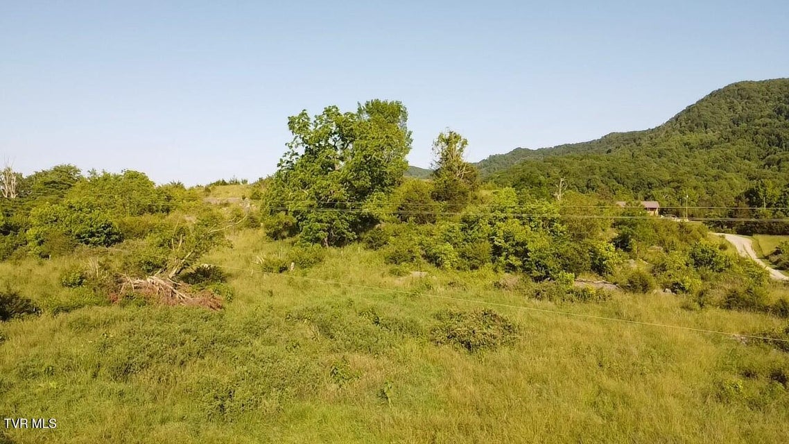 Photo #38: 3198 Big Moccasin Road