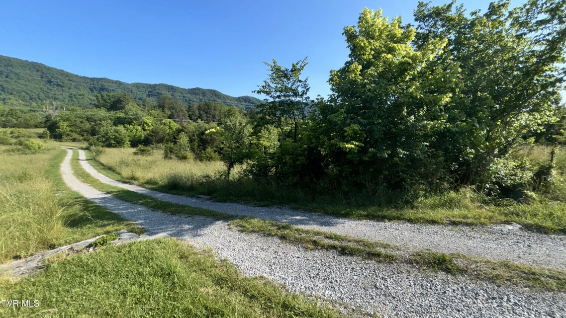 Photo #43: 3198 Big Moccasin Road
