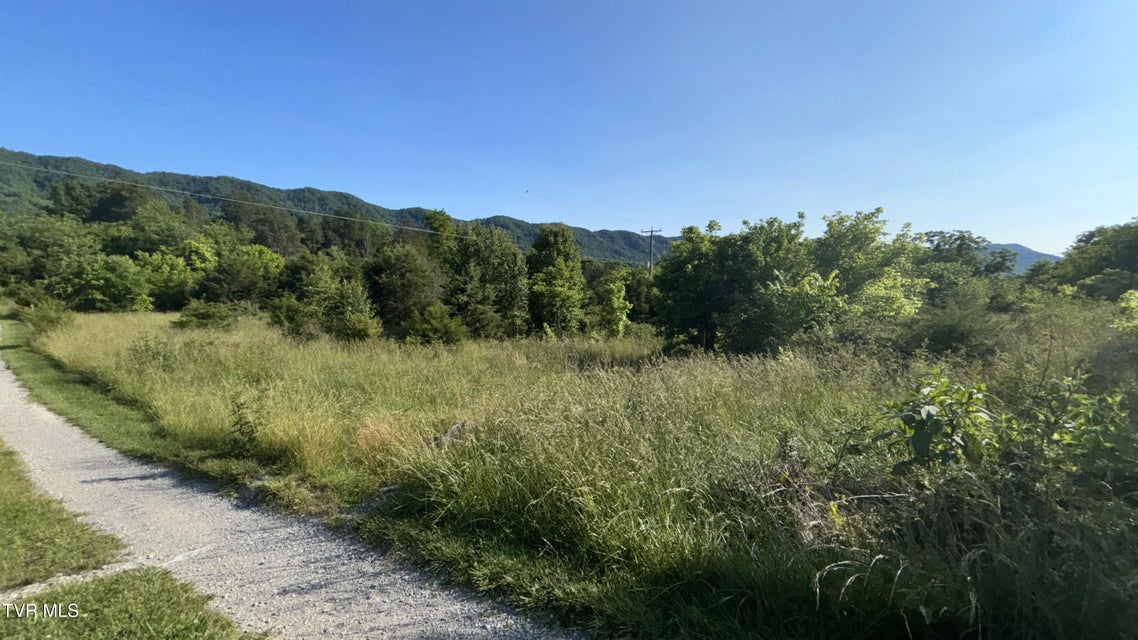 Photo #45: 3198 Big Moccasin Road