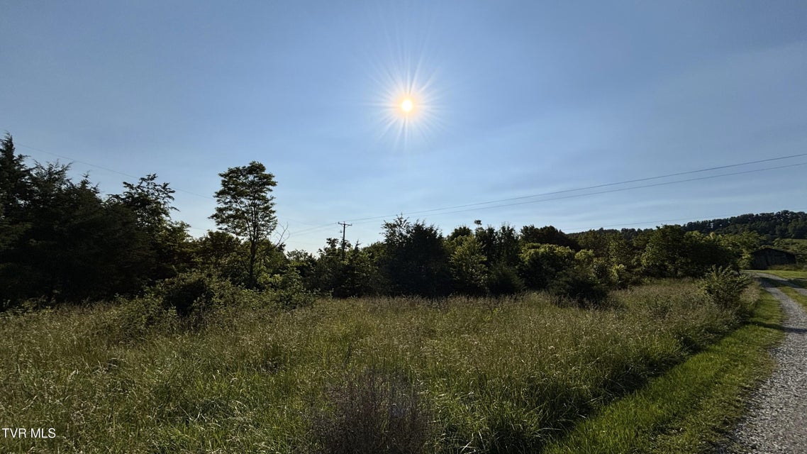 Photo #49: 3198 Big Moccasin Road