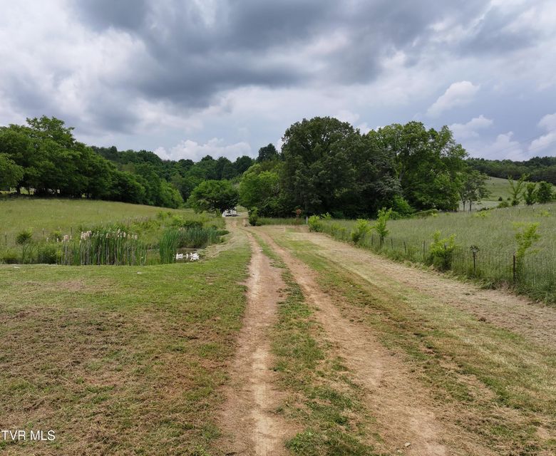 Photo #17: 55 Little Chuckey Cutoff