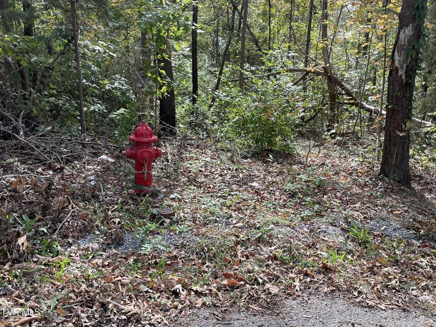 Photo #4: 453 Statem Gap Road