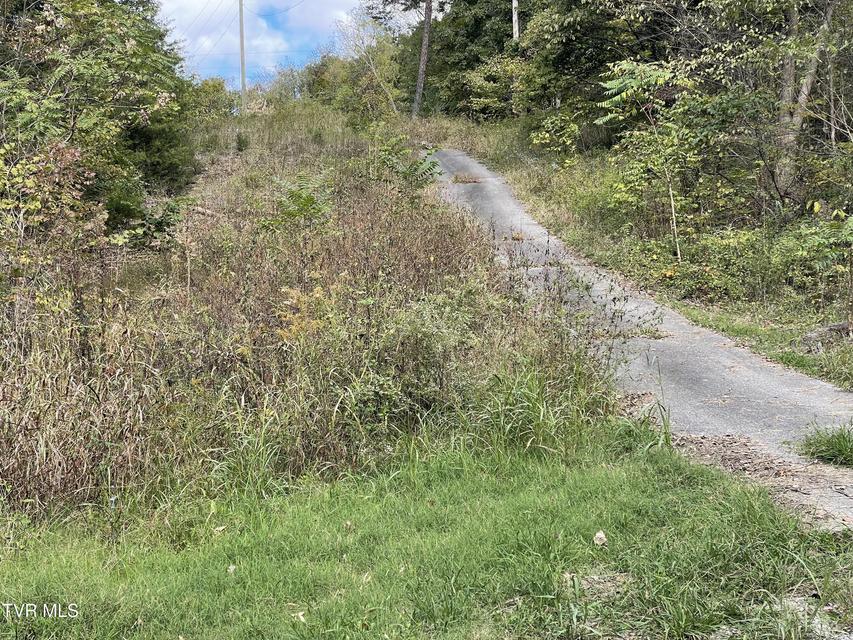 Photo #6: 453 Statem Gap Road