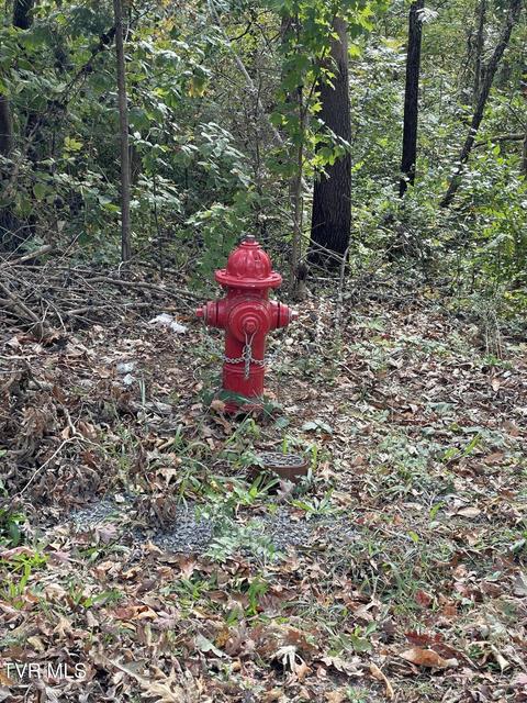 Photo #5: 453 Statem Gap Road