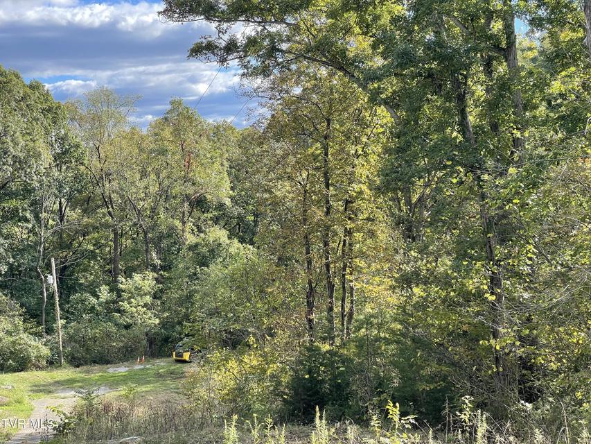 Photo #10: 453 Statem Gap Road