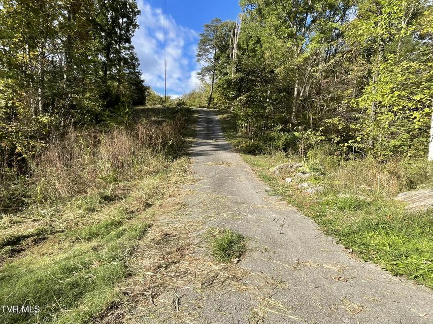 Photo #13: 453 Statem Gap Road