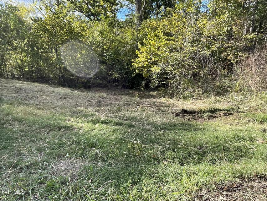 Photo #14: 453 Statem Gap Road