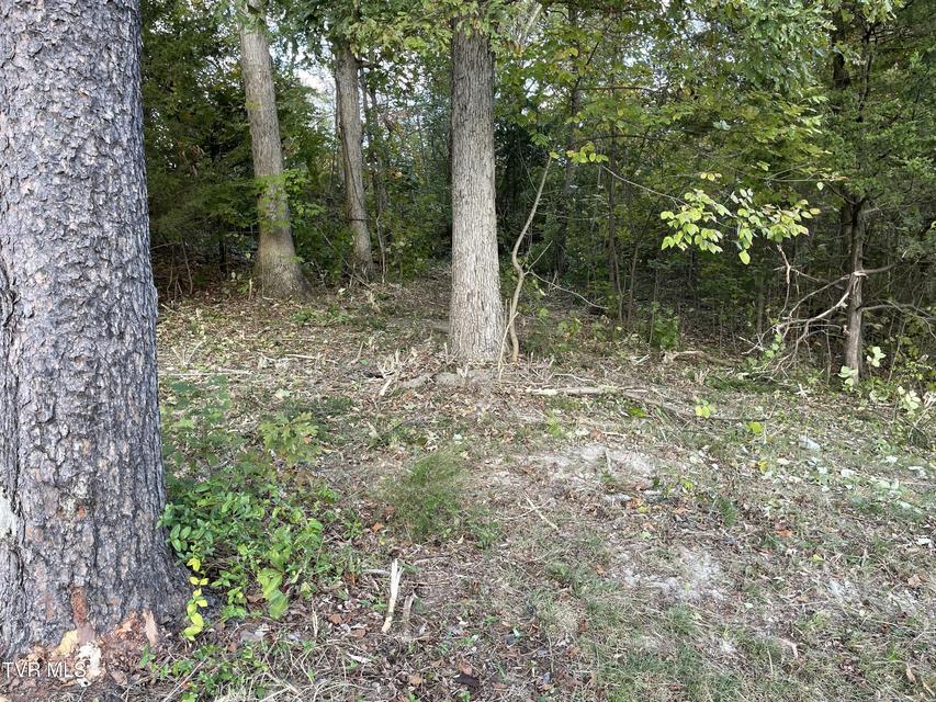 Photo #19: 453 Statem Gap Road