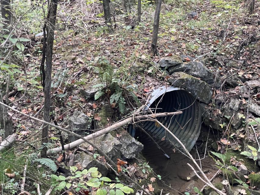 Photo #22: 453 Statem Gap Road