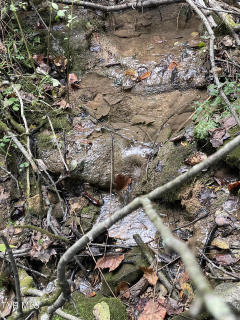 Photo #20: 453 Statem Gap Road