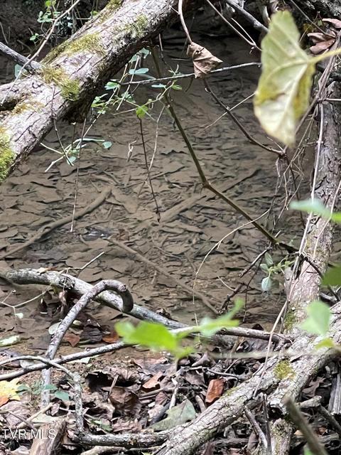 Photo #21: 453 Statem Gap Road