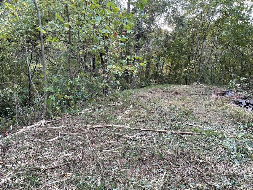 Photo #26: 453 Statem Gap Road