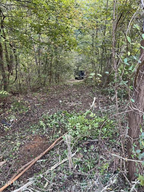 Photo #24: 453 Statem Gap Road