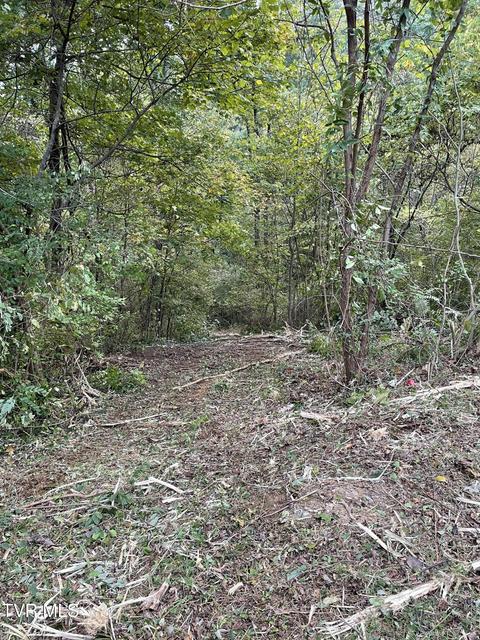 Photo #25: 453 Statem Gap Road