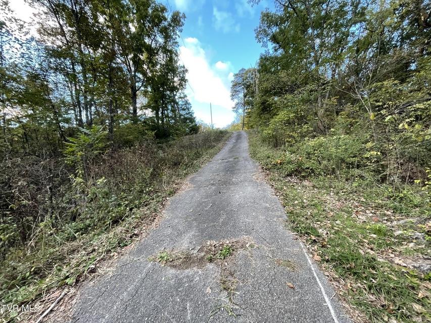 Photo #28: 453 Statem Gap Road