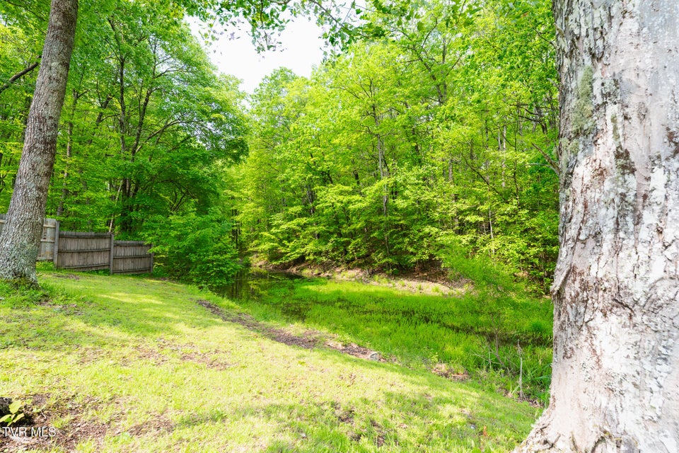 Photo #32: 9266 Forest Rd Road