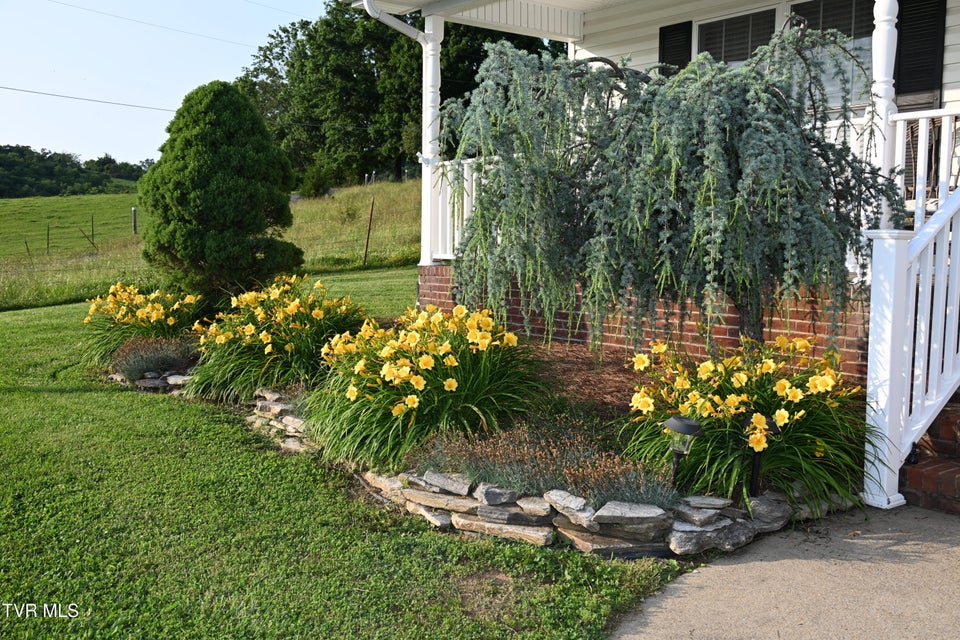 Photo #3: 1430 Debusk Road