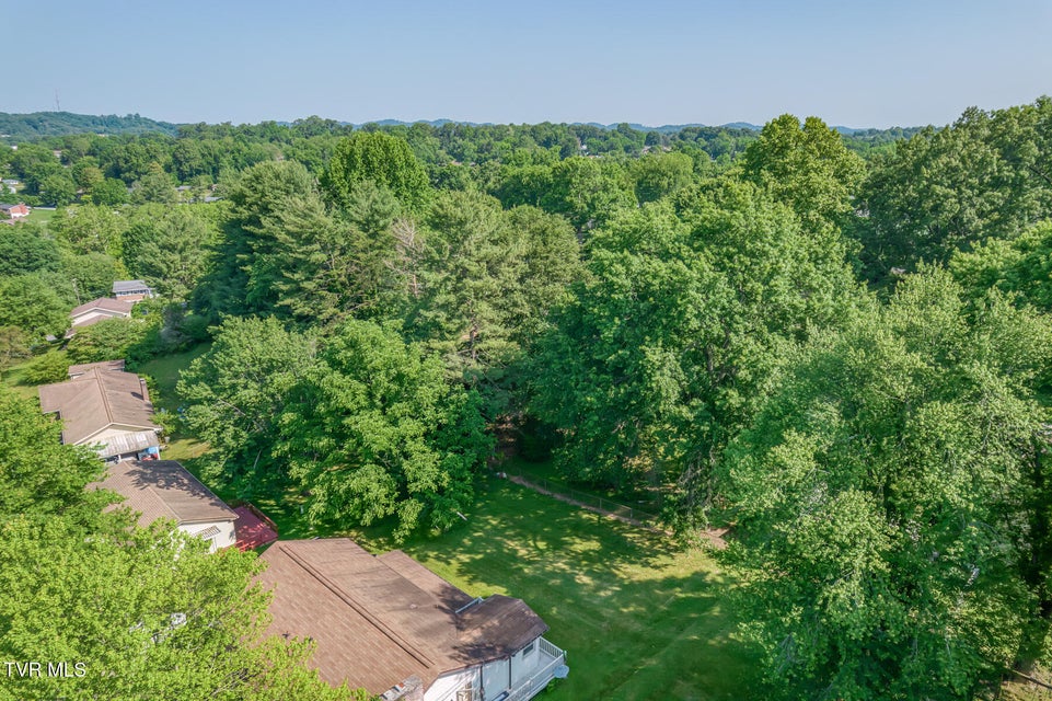 Photo #32: 207 Caldwell Drive