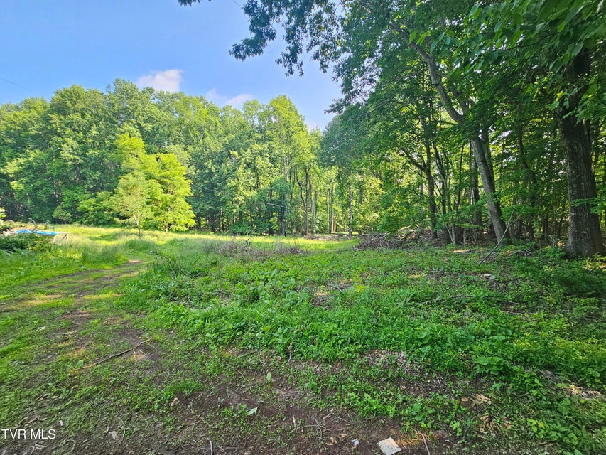 Photo #8: 166 Dyer Road