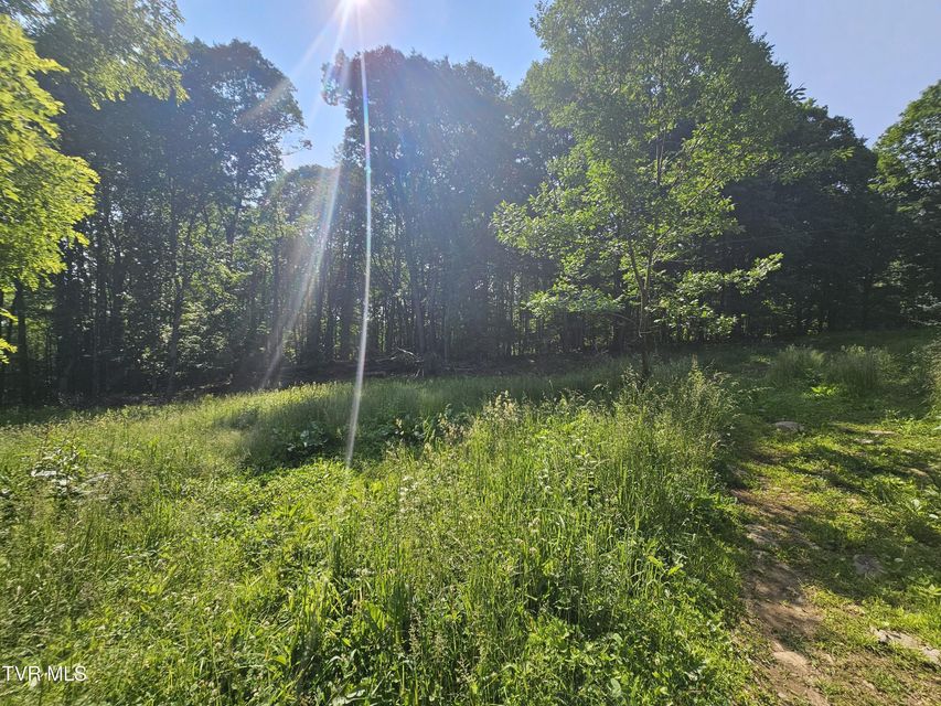 Photo #5: 166 Dyer Road