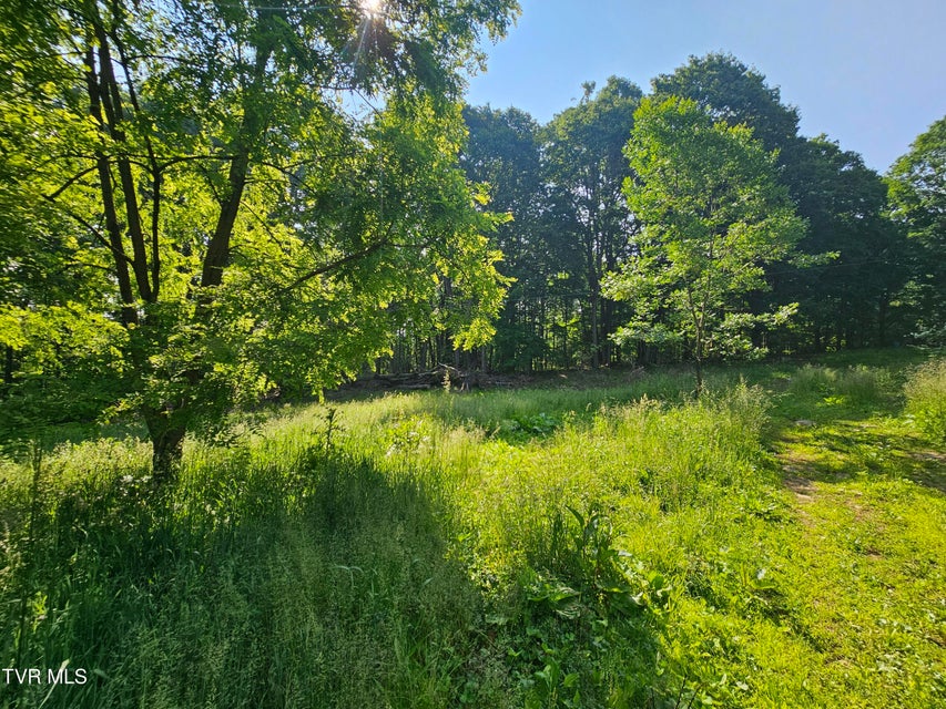 Photo #3: 166 Dyer Road