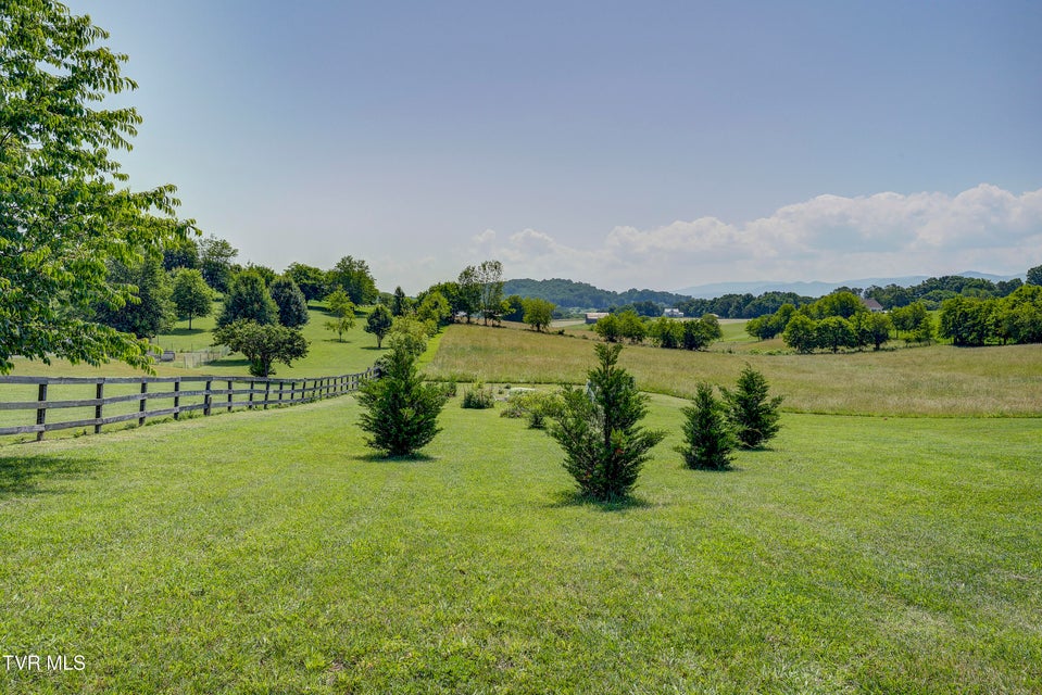 Photo #39: 253 Stockton Road