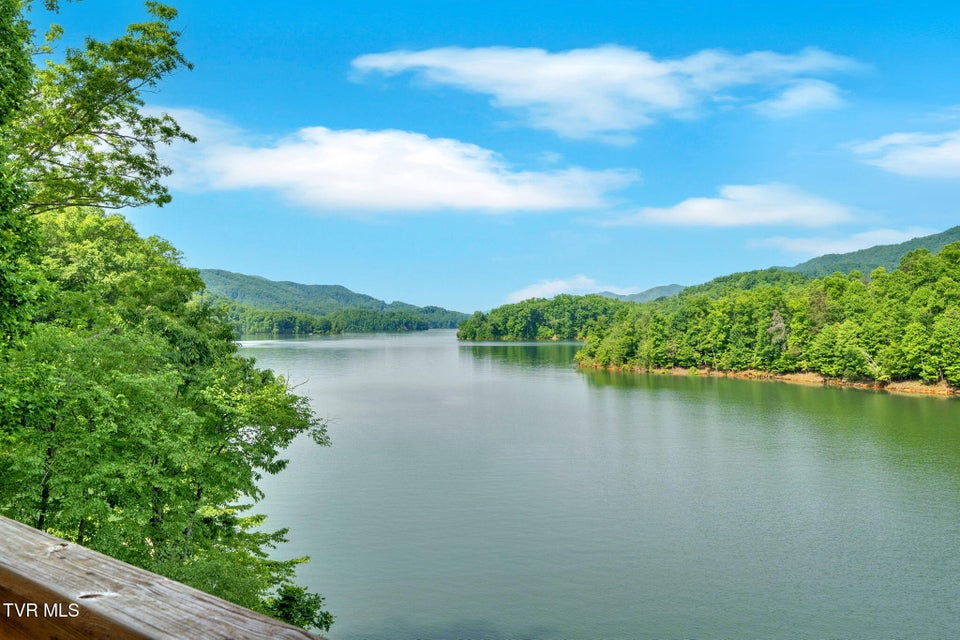 Photo #60: 310 Cove Ridge Lane