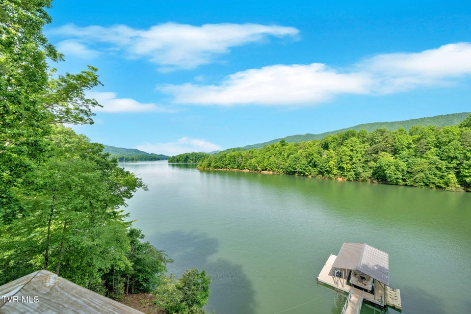 Photo #61: 310 Cove Ridge Lane