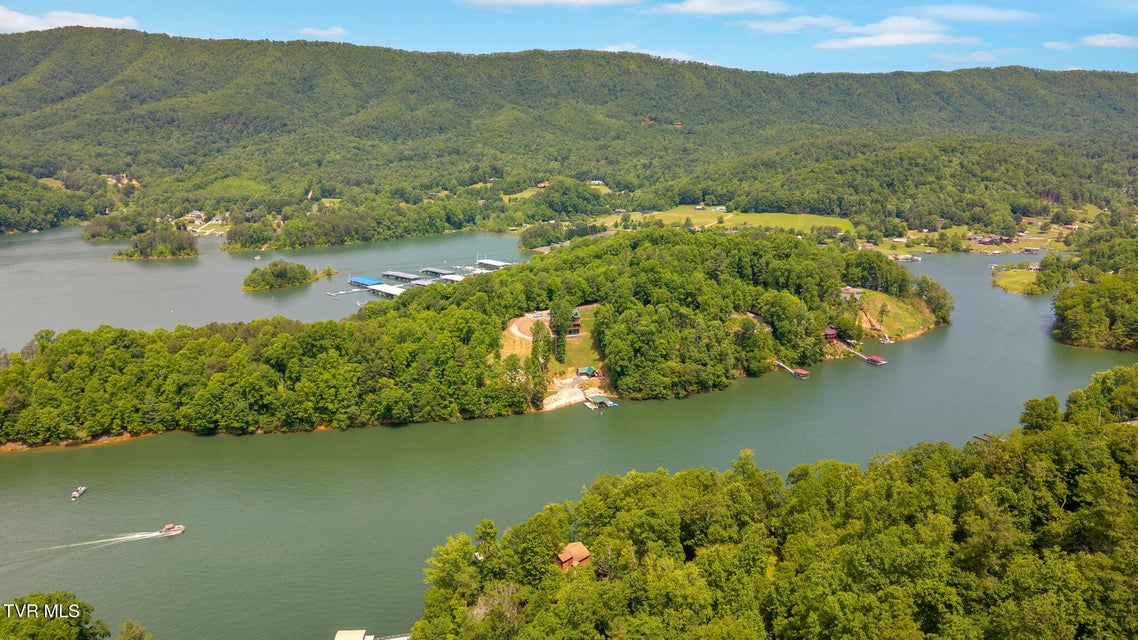 Photo #77: 310 Cove Ridge Lane