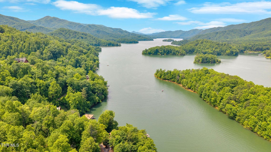 Photo #74: 310 Cove Ridge Lane