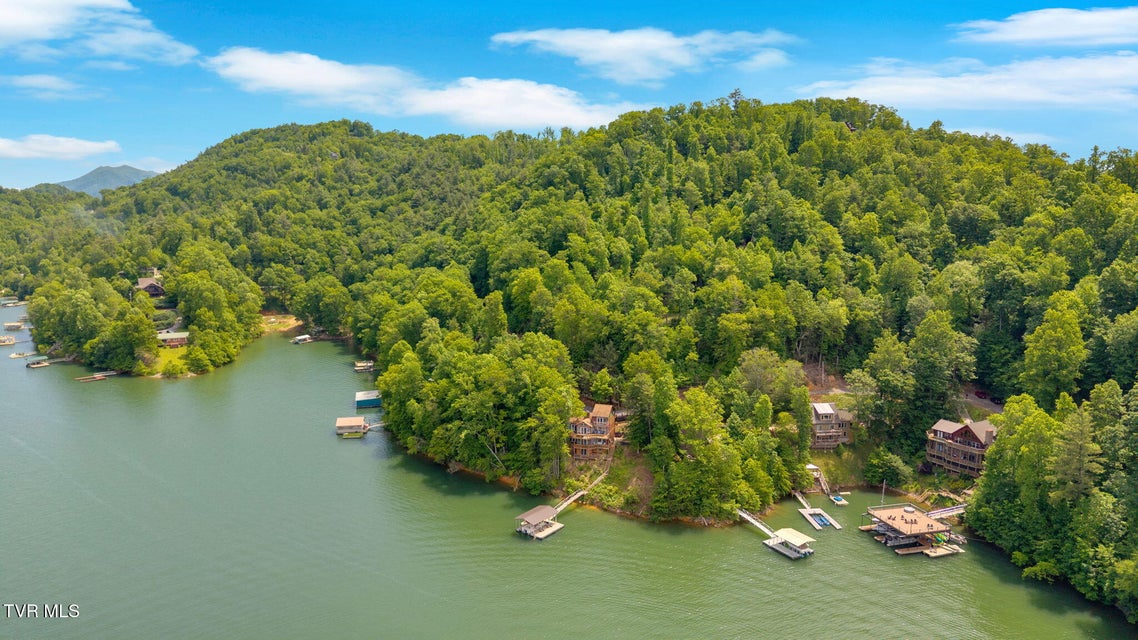 Photo #7: 310 Cove Ridge Lane